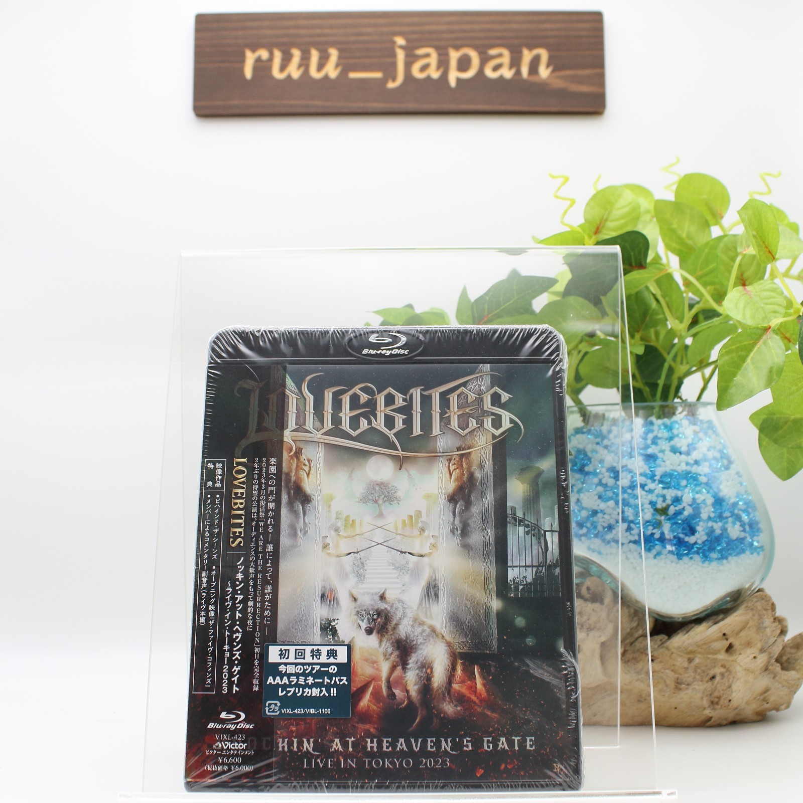LOVEBITES KNOCKIN' AT HEAVEN'S GATE LIVE IN TOKYO 2023 Blu-ray VIXL-423 New