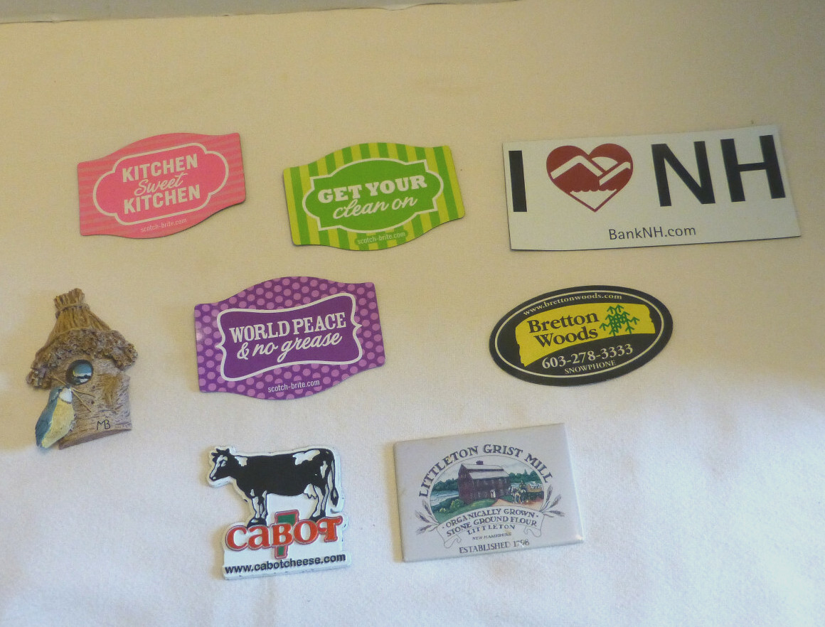 New Hampshire NH Magnets Various Lot Birdhouse Cleaning Littleton Bretton Woods