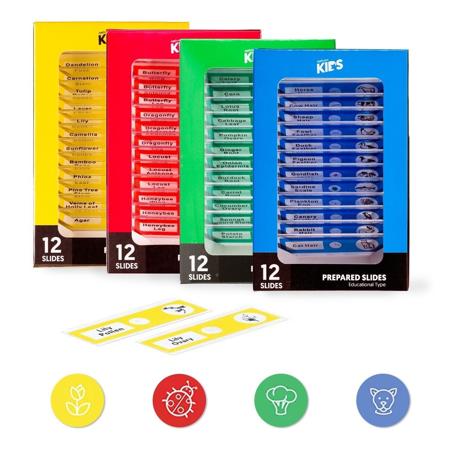 AMSCOPE-KIDS 48pc Plastic Prepared Microscope Slides of Animals Insects Plant-A9