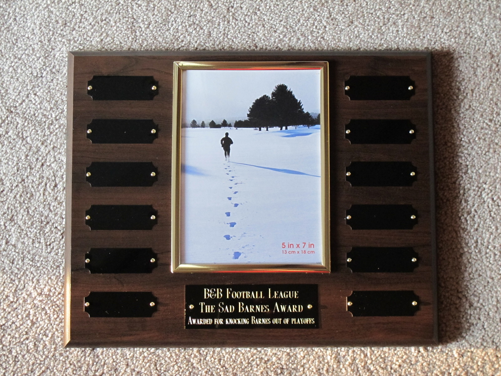 Employee of the Month Perpetual Award Plaque, 10.5x13 Trophy, FREE engraving