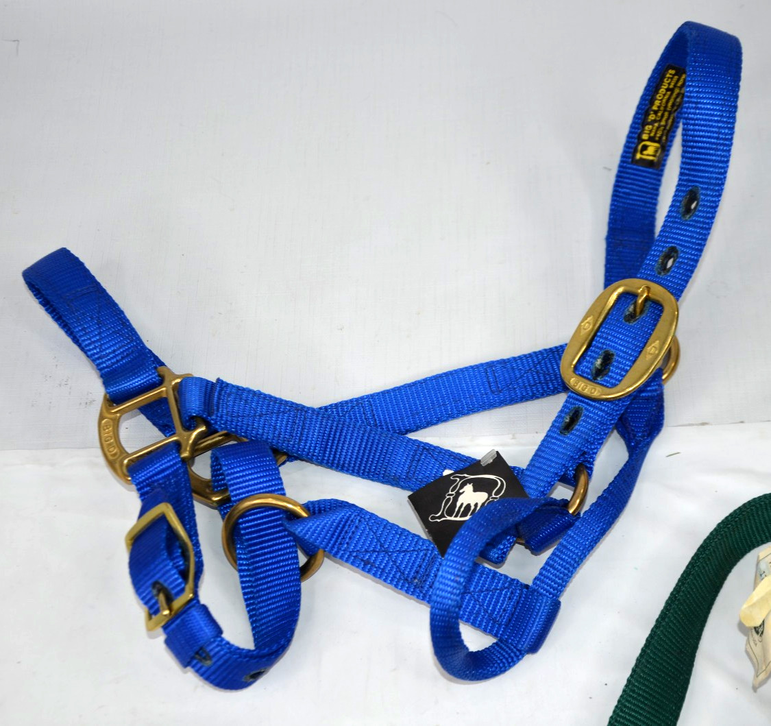 Weaver Small & Yearling Horses NYLON HALTERS NWT Adjustable 1" Blue Green Big D