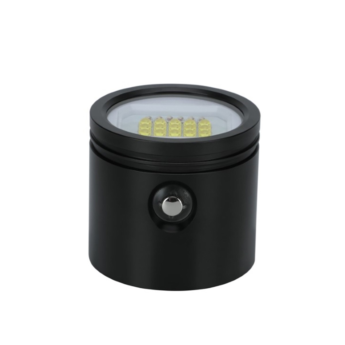 Bigblue Light Head for VL15000P Plus Video Light