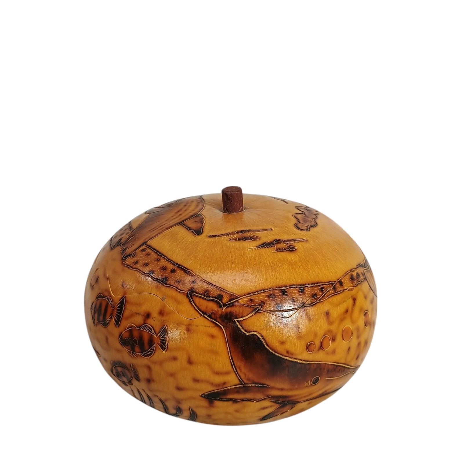 Peruvian Style Hand Carved Gourd with Lid Fish 5" Aquatic Theme