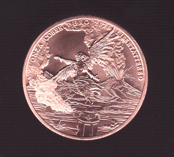 LIBERTATTERED  1 oz. Copper Round Coin #8  in the "NEW" ZOMBUCKS WORLD SERIES