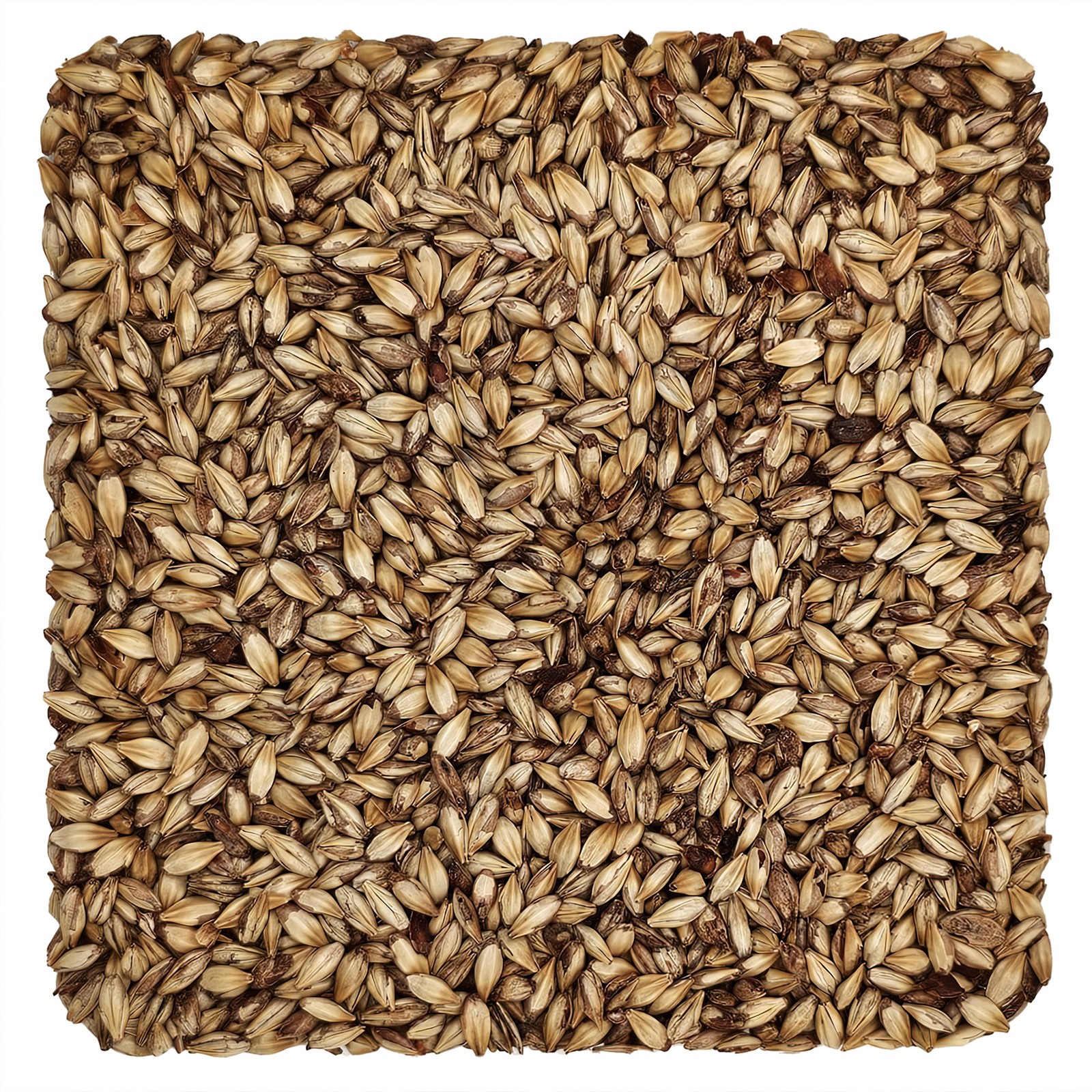 Home Brew Ohio Caramel 20L Grain 1lb