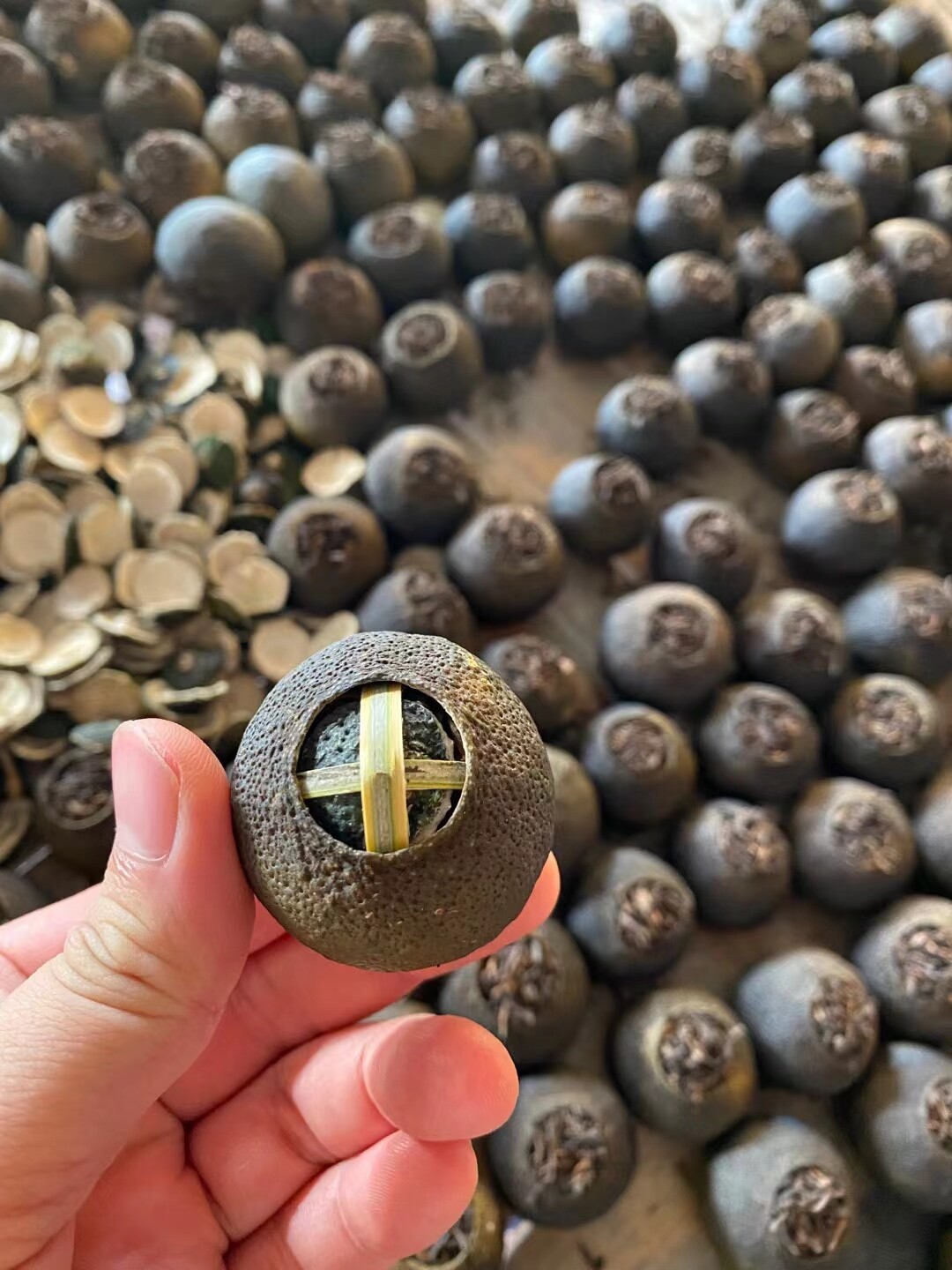 正宗新会柑普茶 ＄98/500g