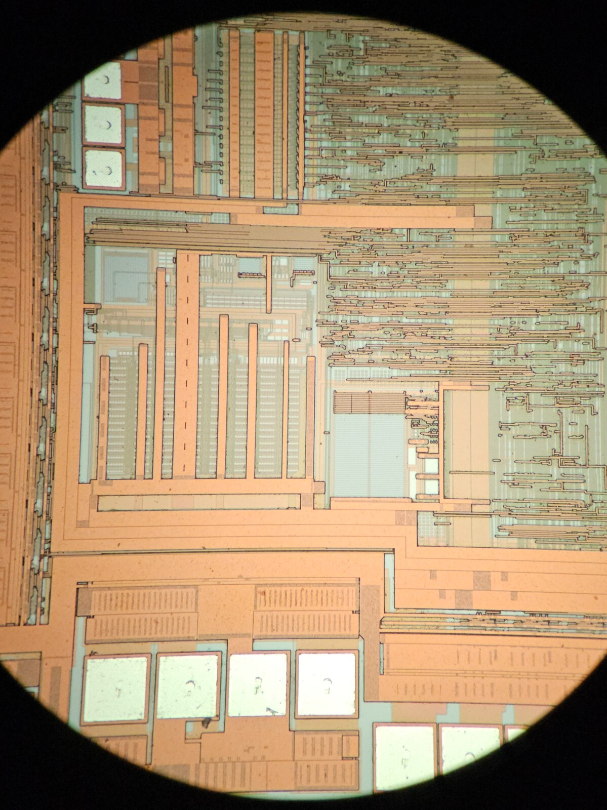 microscope slides