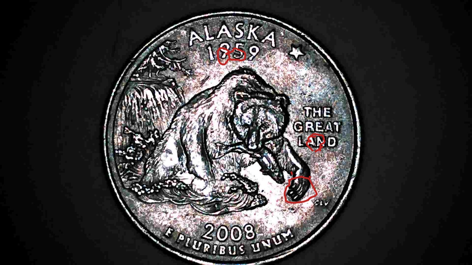 2008-P Alaska State Quarter Claw Die Chip Error MULTIPLE ERRORS Drool Error