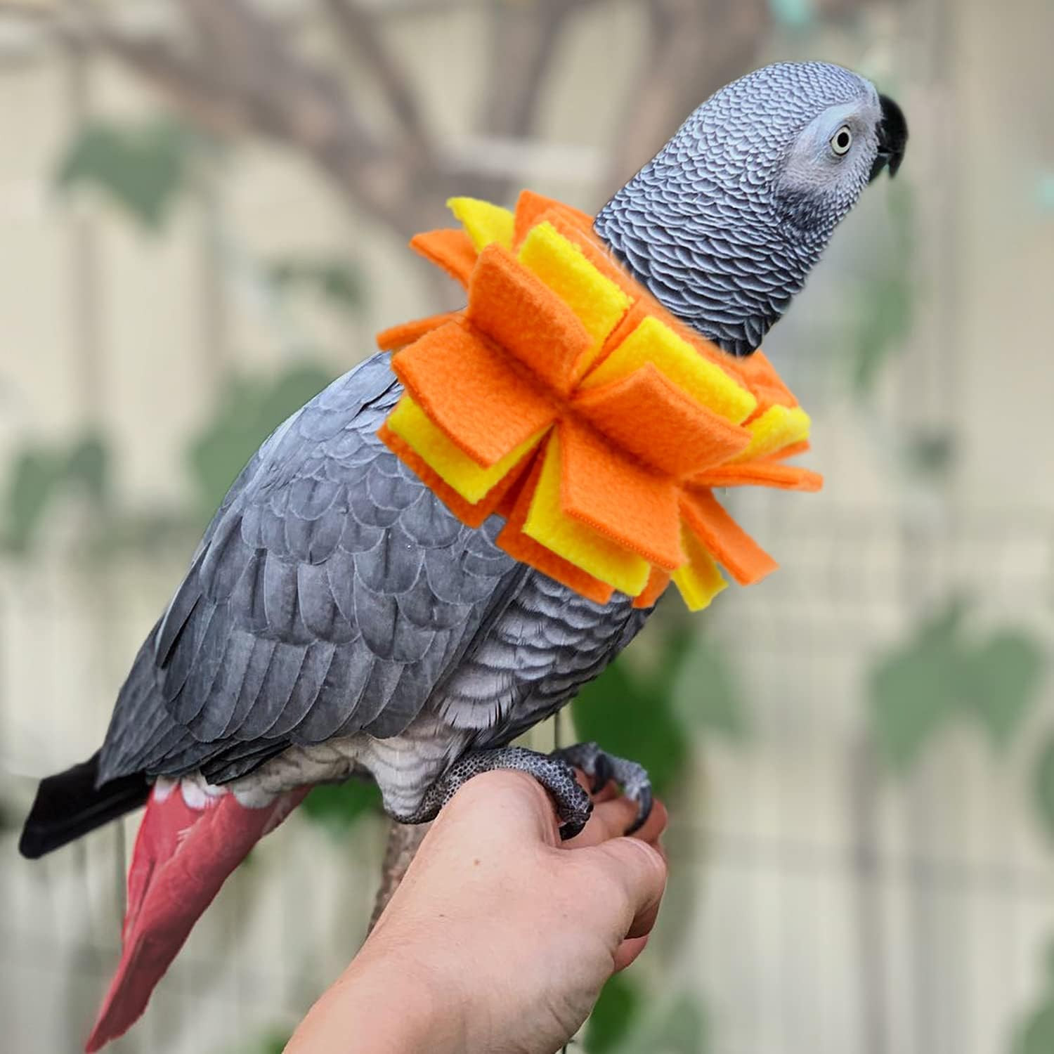 Neck Collar for African Grey Parrots Feather Plucking Bird Anti Bite Collar Neck