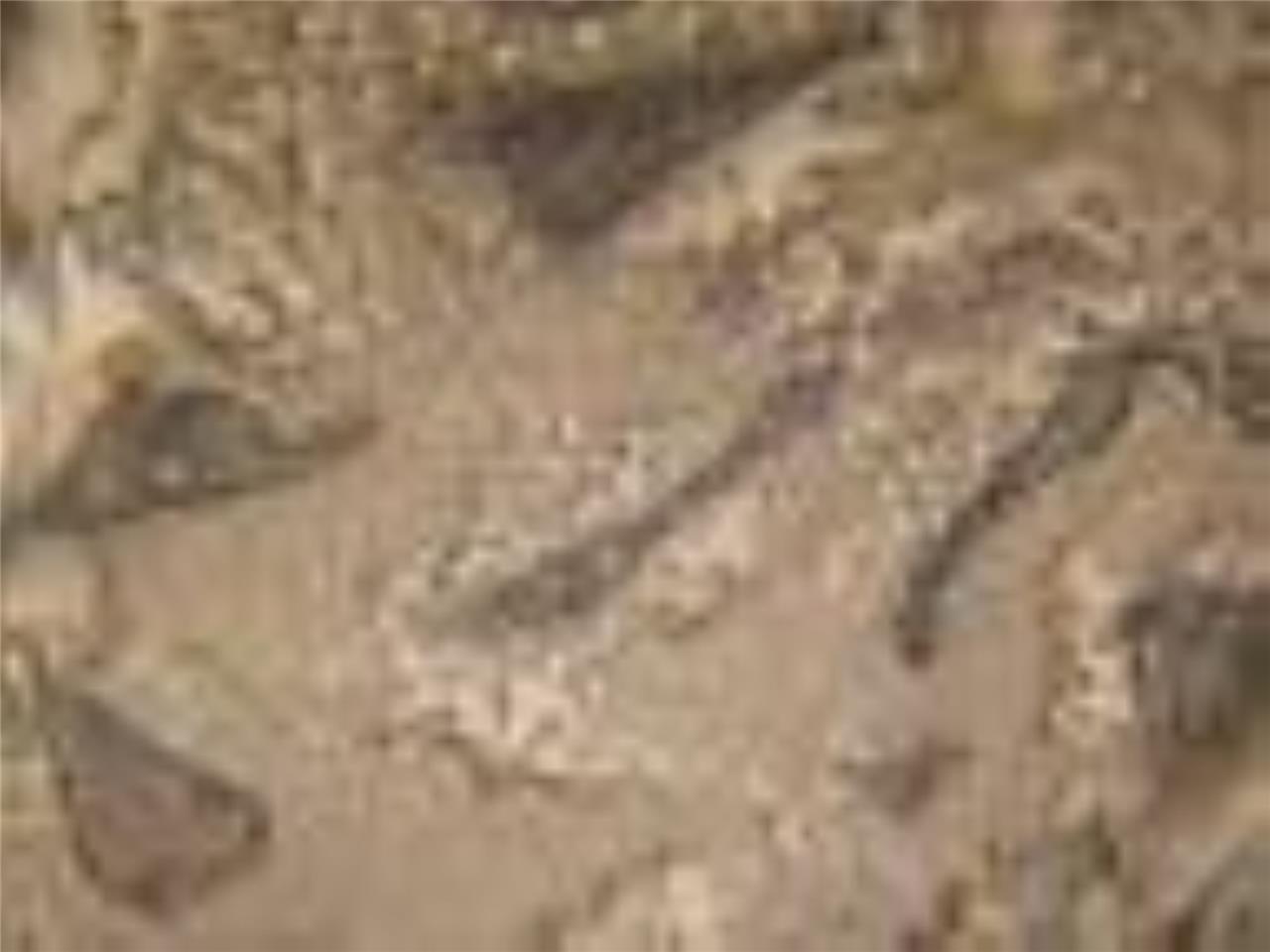 Moda Fabric ~ Kota Batiks ~  1/2 yard   ~  Coffee  #41000 15