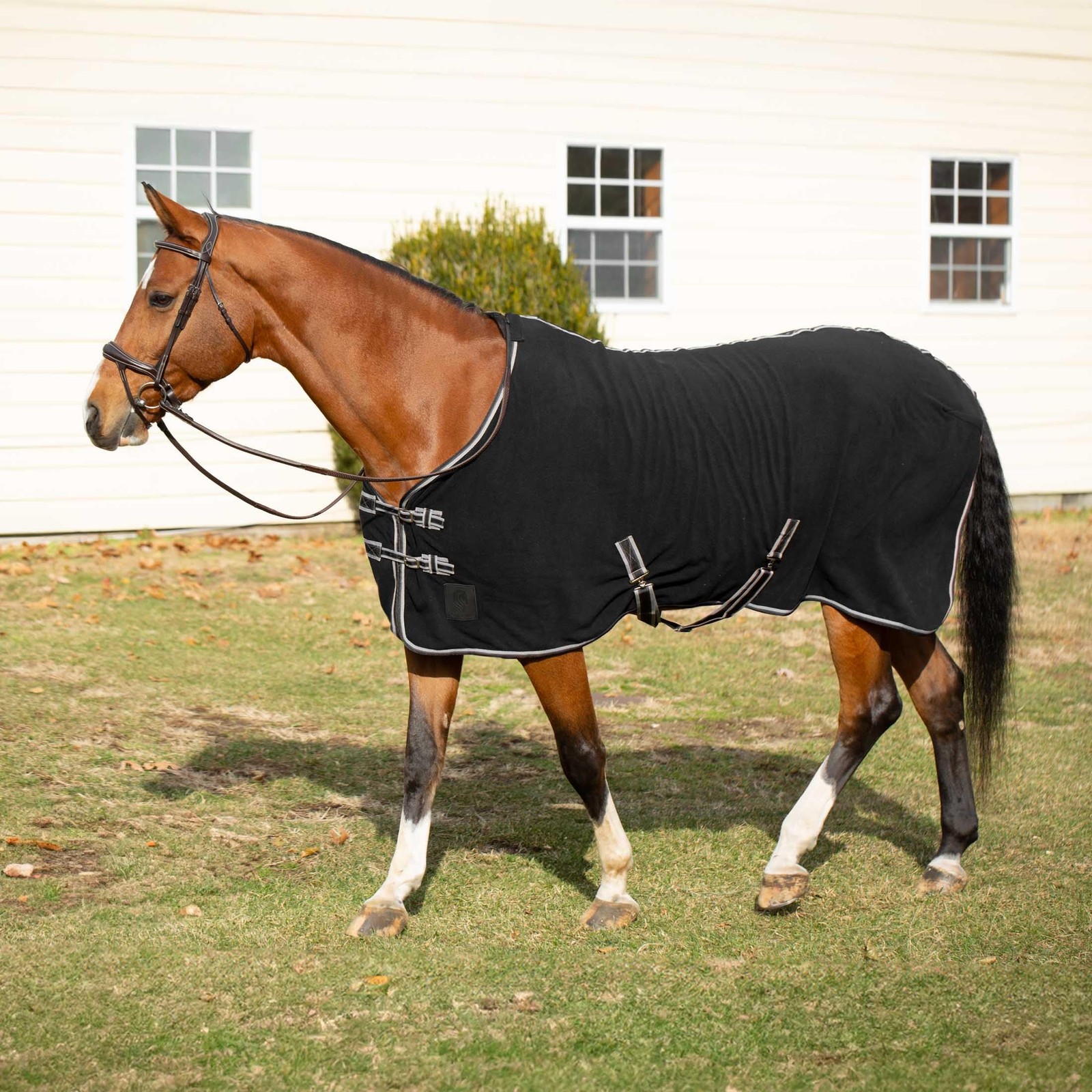 Norse Anti-Fleece Cooler | Blanket Liner for Horses - Black - 68 in
