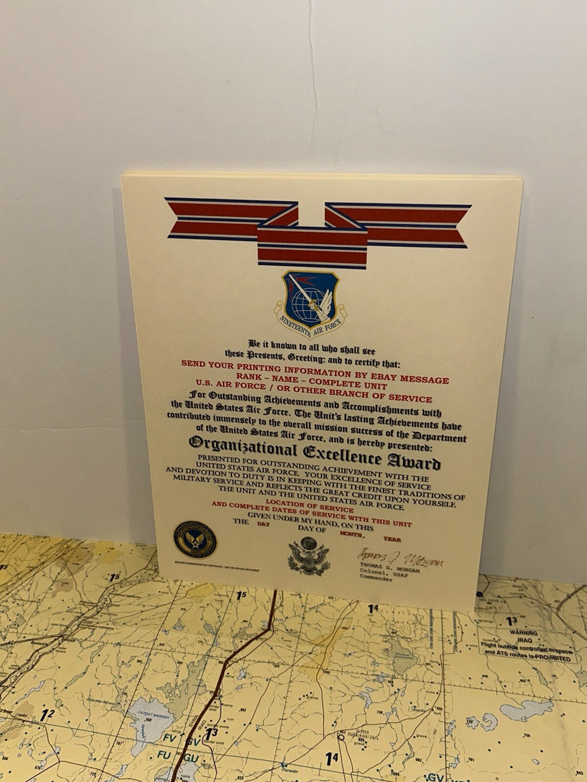 U.S. AIR FORCE / 19TH AIR FORCE - ORGANIZATIONAL EXCELLENCE AWARD CERTIFICATE