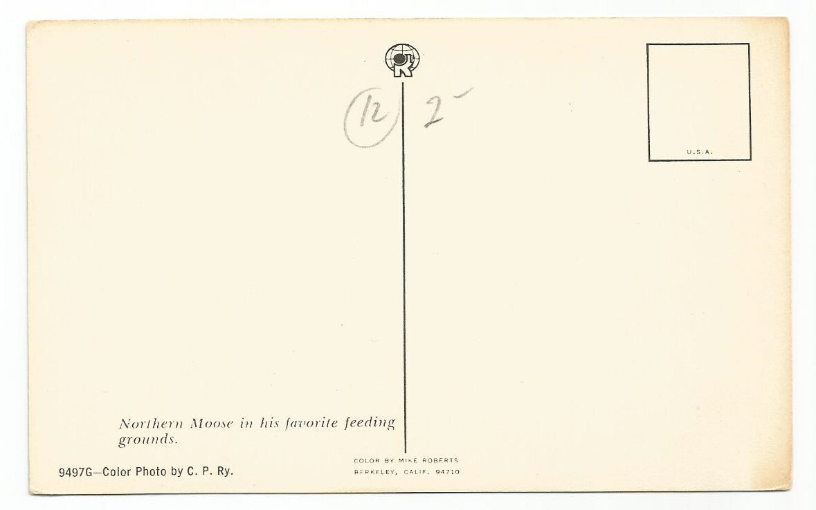 Bull Moose Postcards
