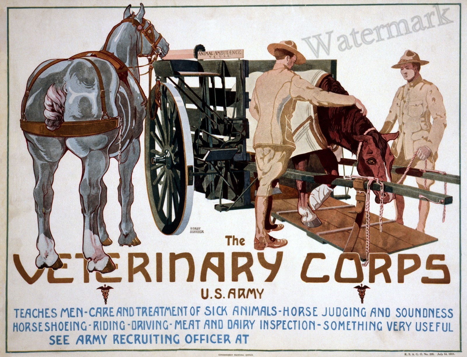 Wall Art WWI  Poster United States Veterinary Corps, U.S. Army  1919   11x14