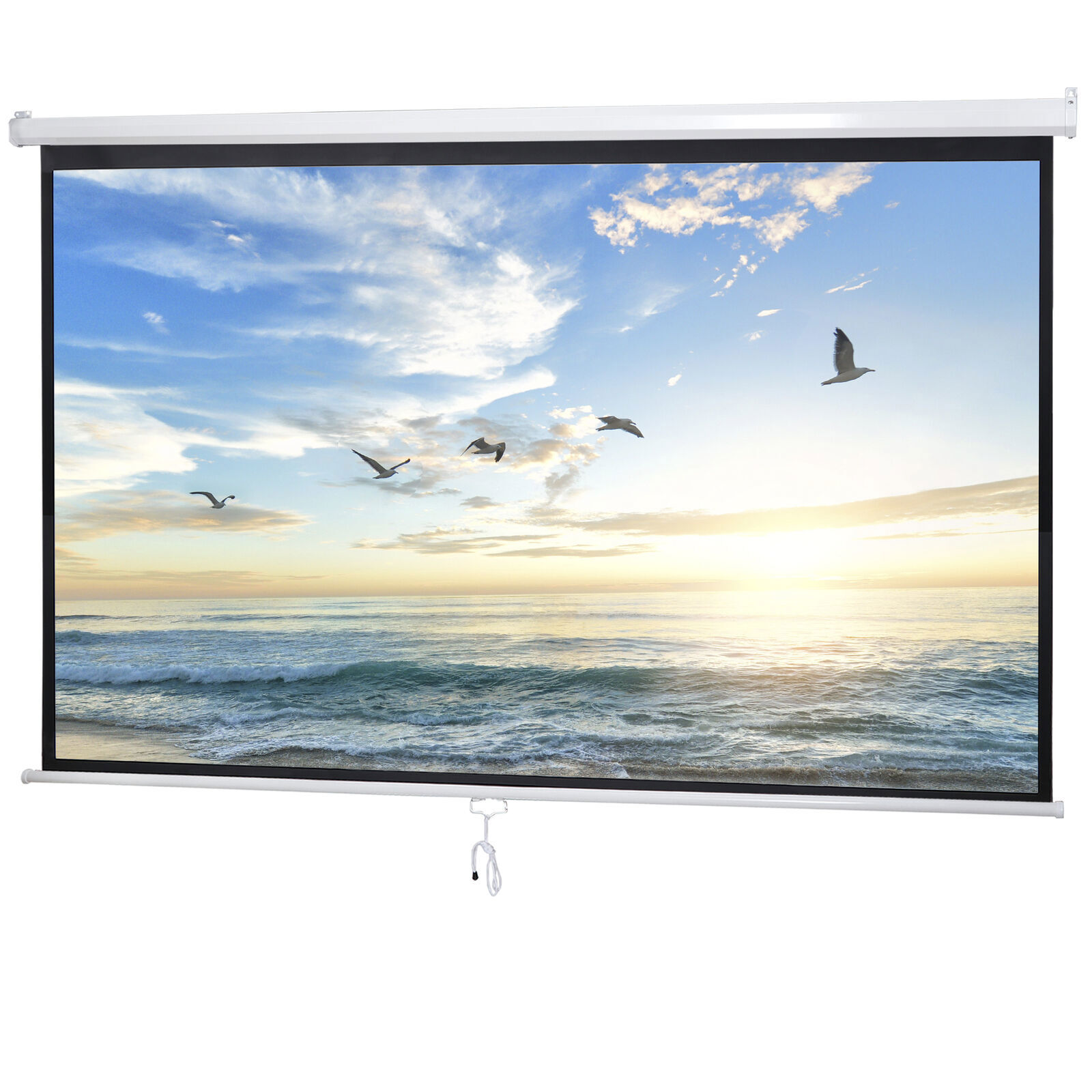 100" Diagonal Projection 16:9 Projector Screen HD Manual Pull Down Home Theater