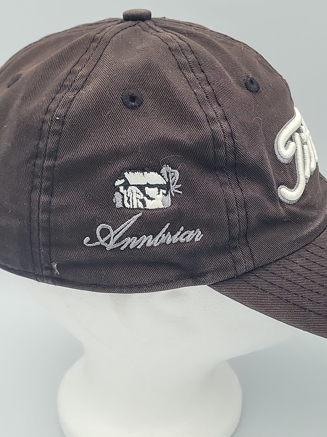 Titleist Golf Hat Annbriar Golf Course Strapback Black Embroidered Logos OS