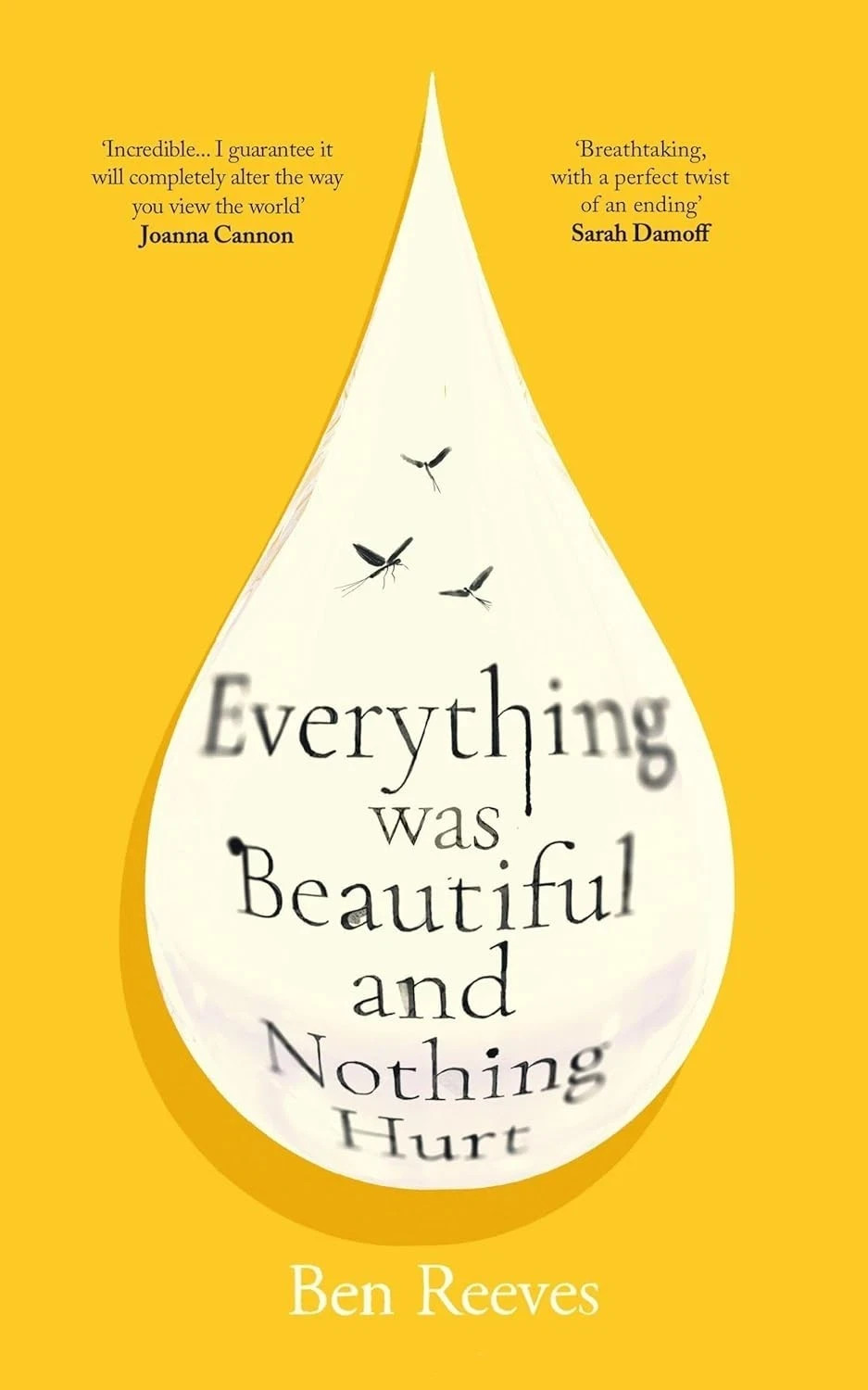 Everything was Beautiful and Nothing Hurt (Paperback) by Reeves Ben New Book Eng