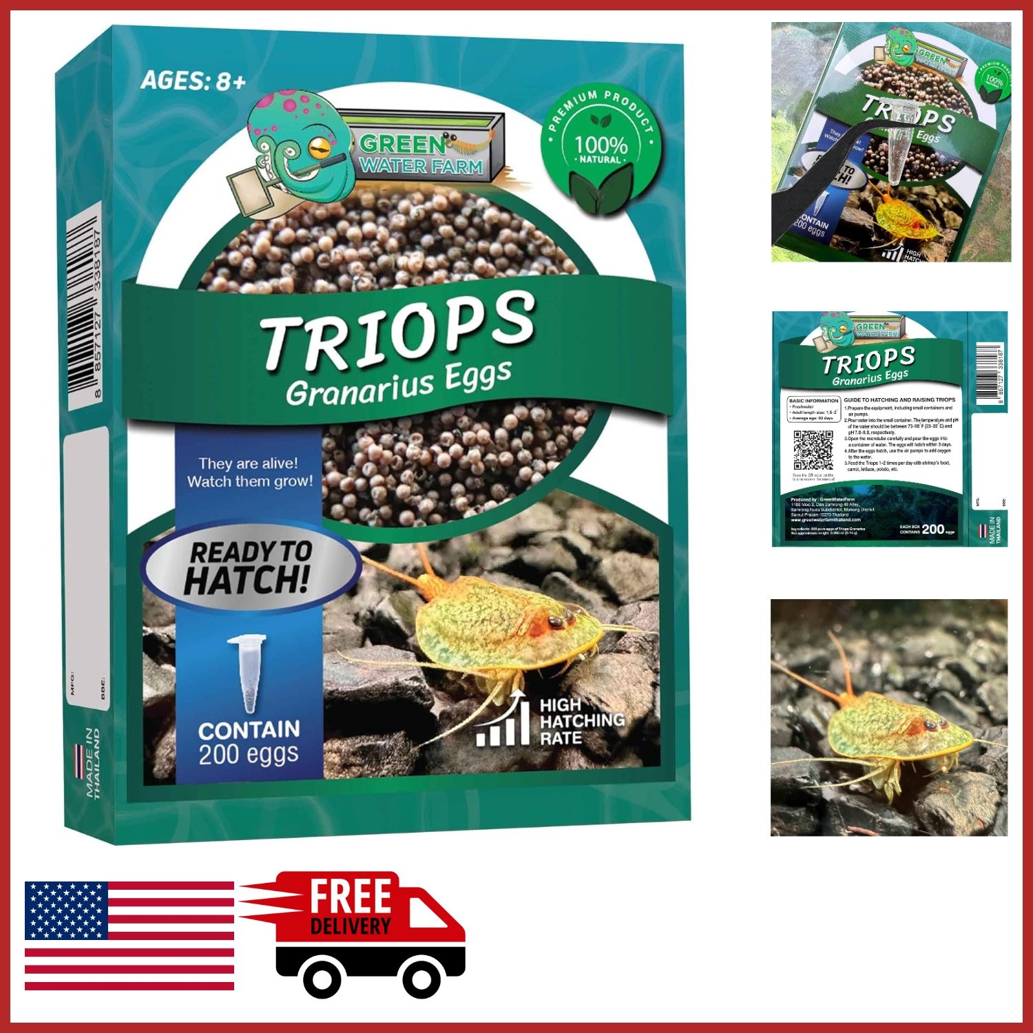Triops Granarius Eggs for Hatching 200 Count Educational Science Project