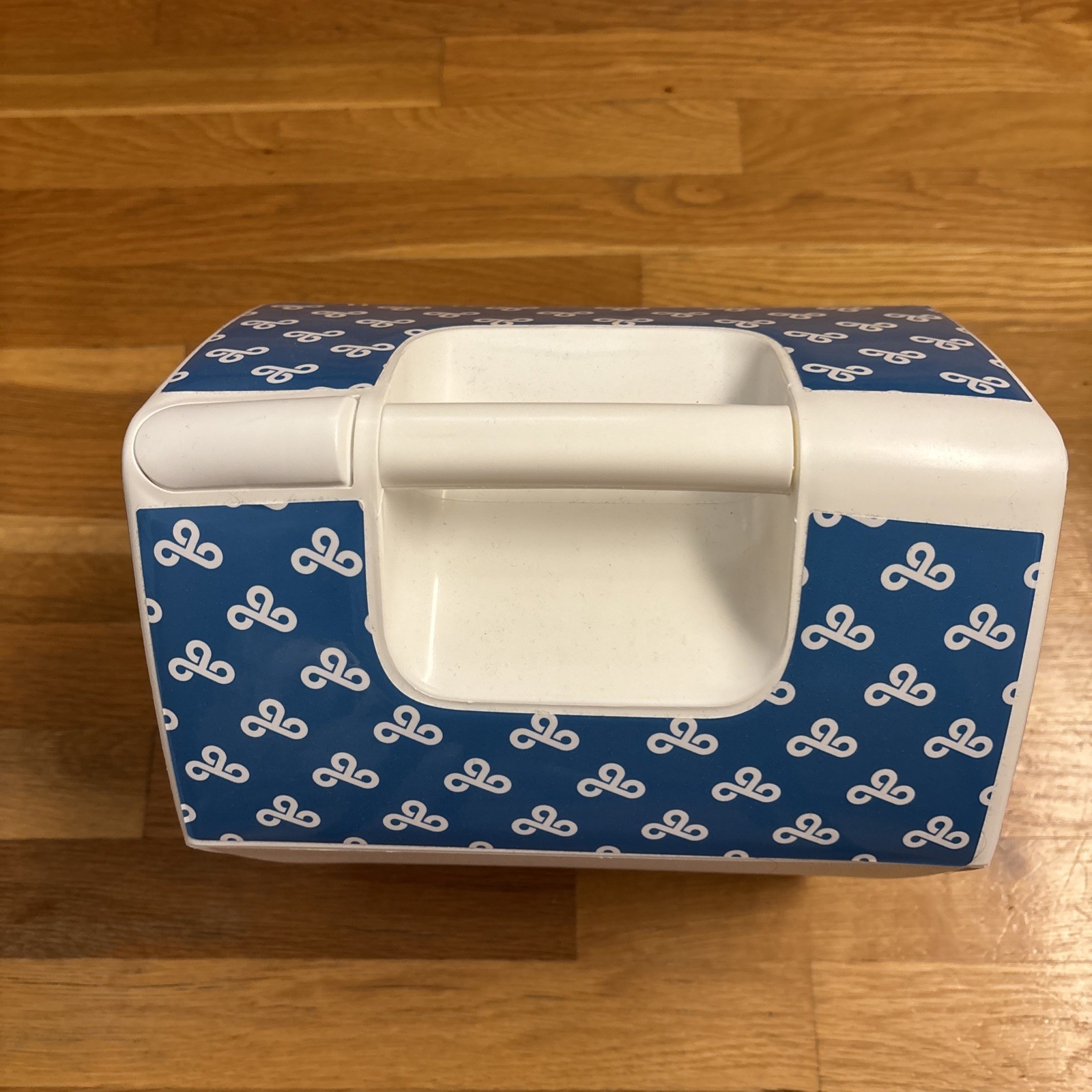 Igloo Cooler Cloud 9 Promotional Item