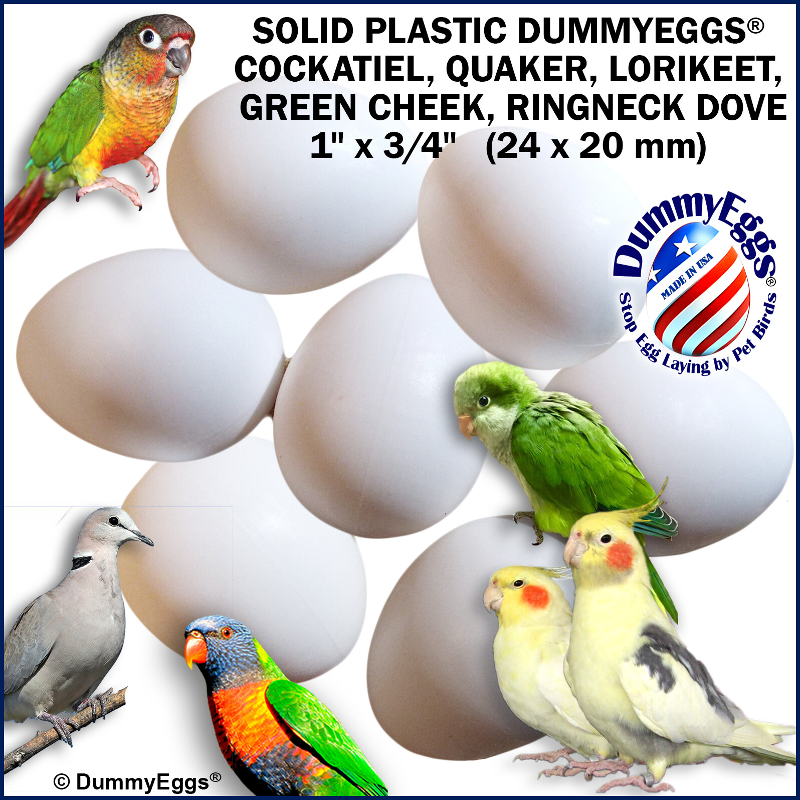 DummyEggs COCKATIEL PLASTIC BIRD EGGS STOP LAYING! 7 Realistic Fakes, Quaker GCC