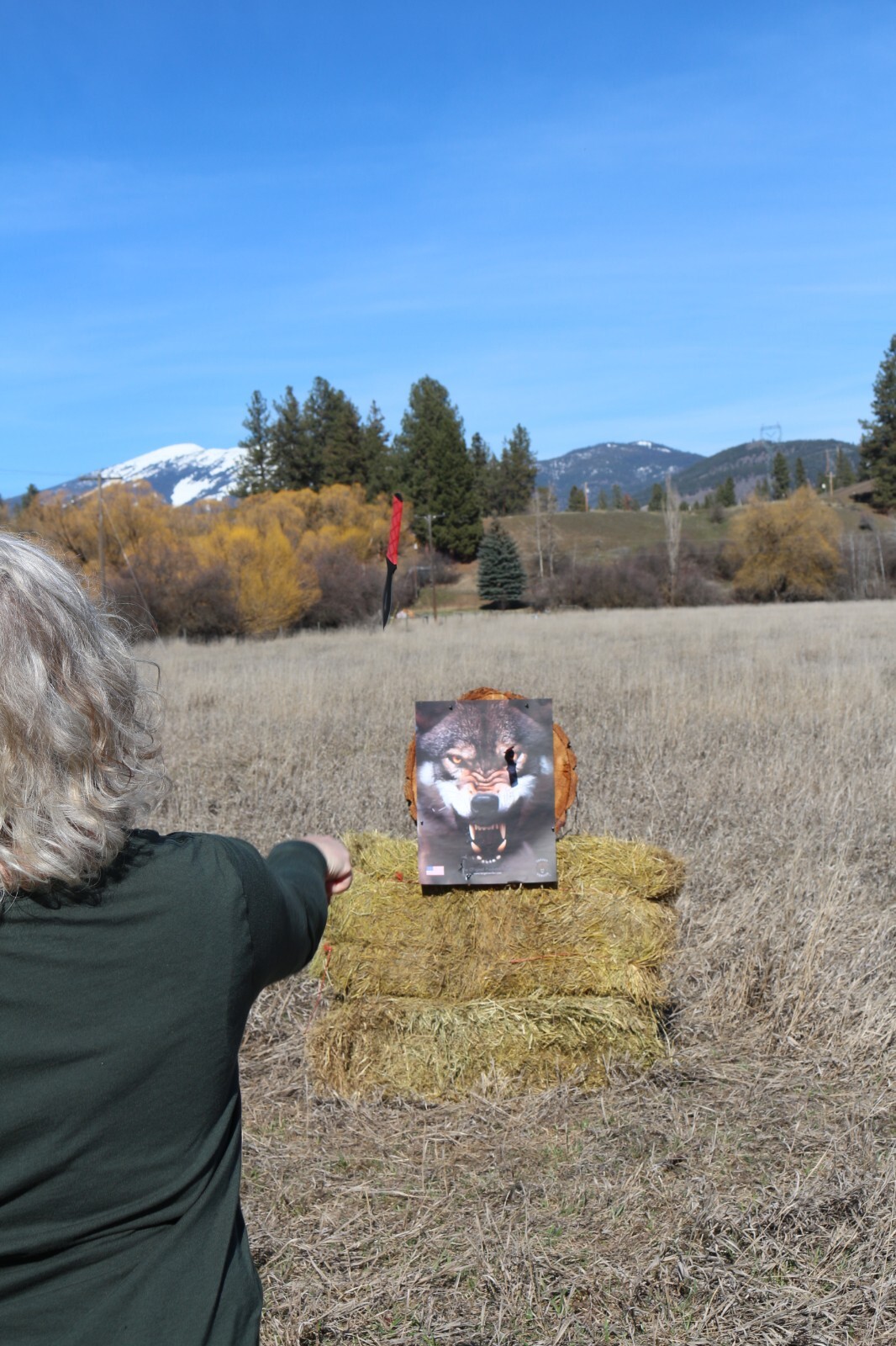 Paper Targets for Handgun Practice High Quality Wolf Target, shooting practice