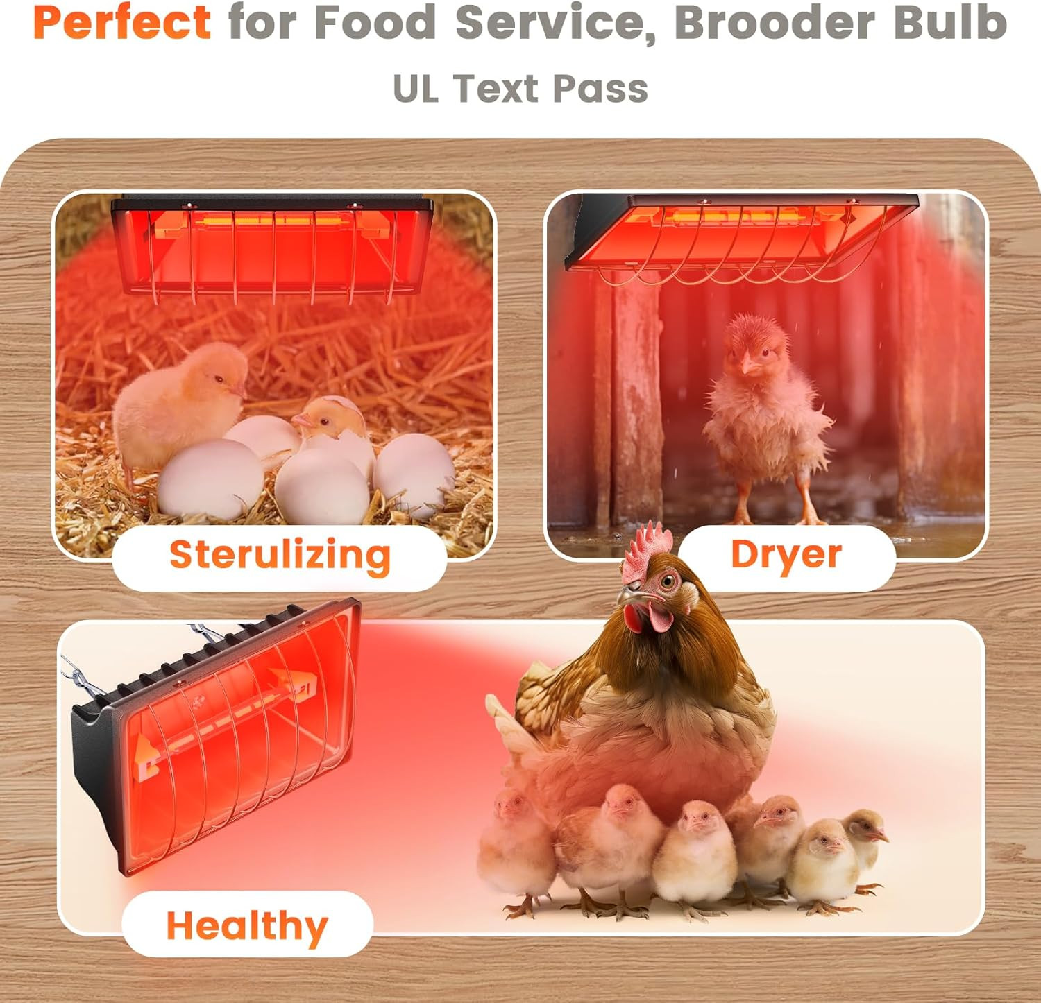 250W Brooder Heater for 30 Chicks, Chicken Coop Heating Lamp Brooder