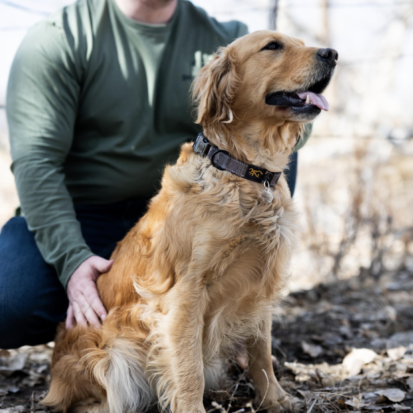 Browning Classic Preformance Webbing Pet Collar, Fully Adjustable, Available ...