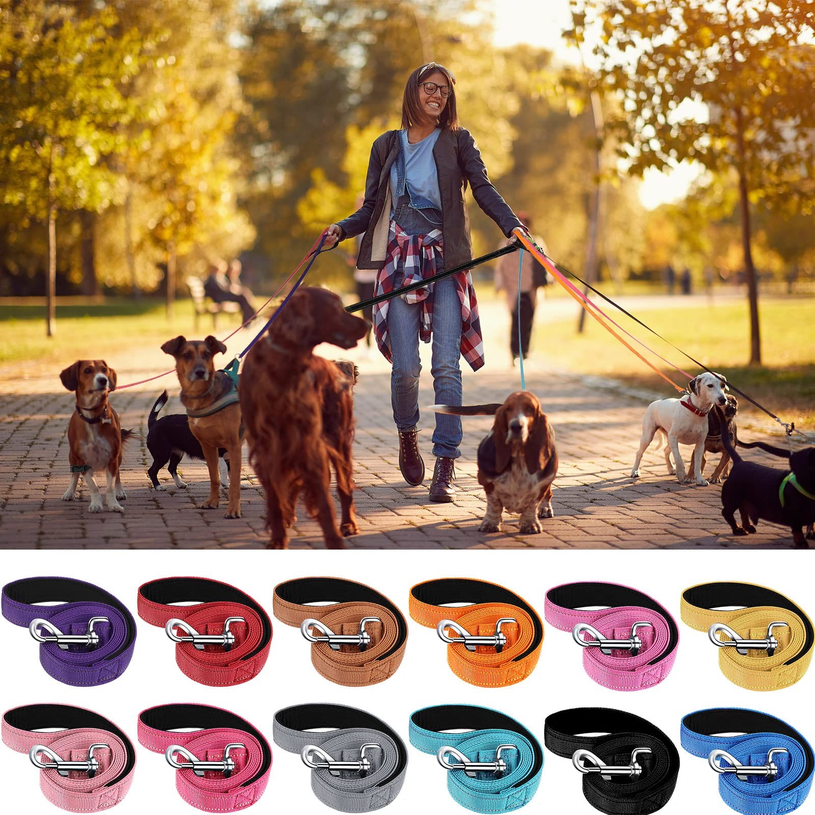 12-Pack 5 FT Double Sided Reflective Dog Leash Nylon with Padded Handle