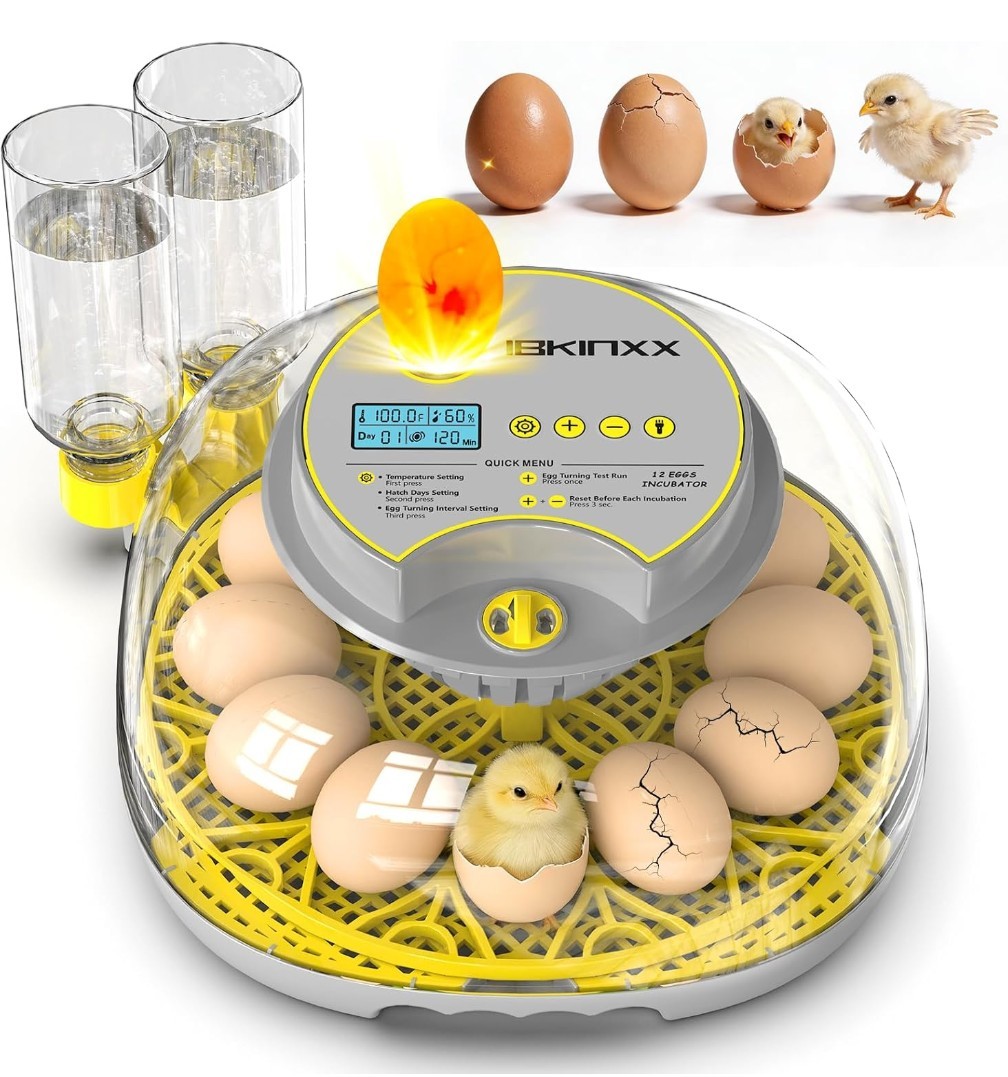 Incubator for Hatching Eggs-12 Egg Capacity, 2026 Upgraded Automatic Egg Turner