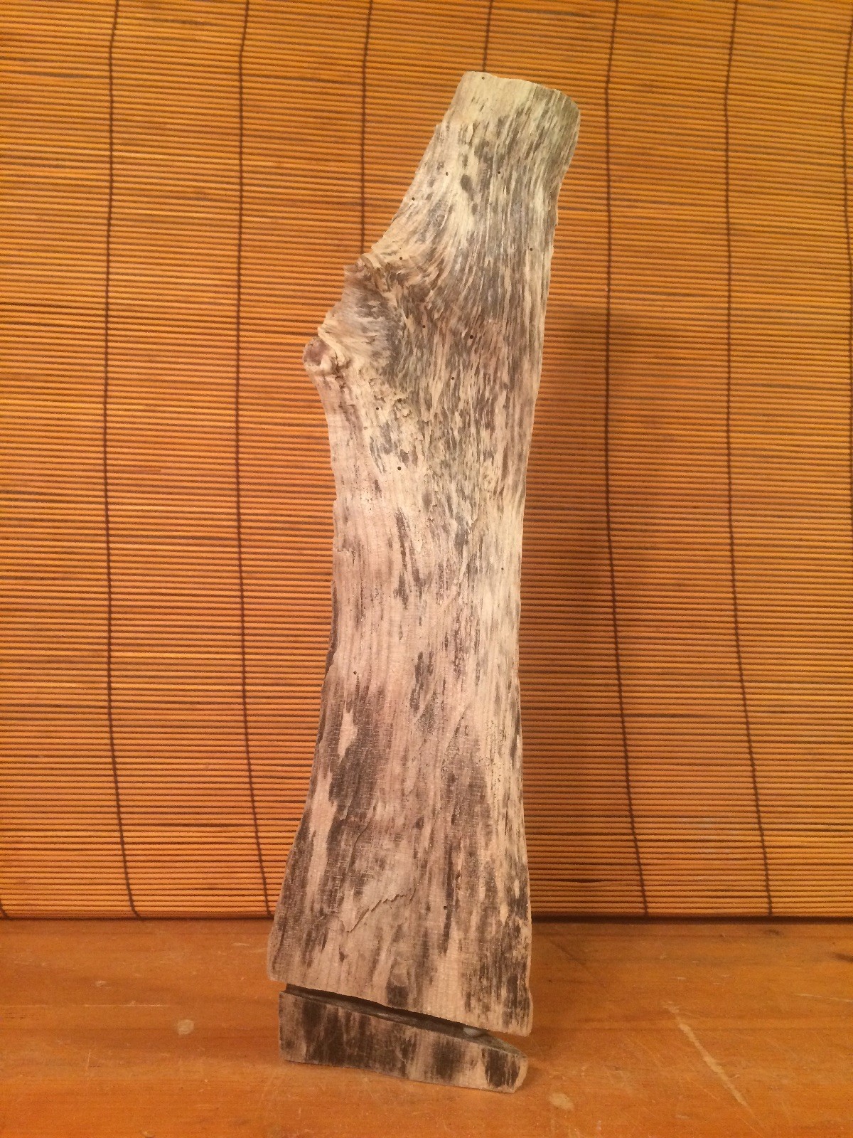 Beautiful 16" DRIFTWOOD Art Terrarium Taxidermy Aquarium Reptile DECOR