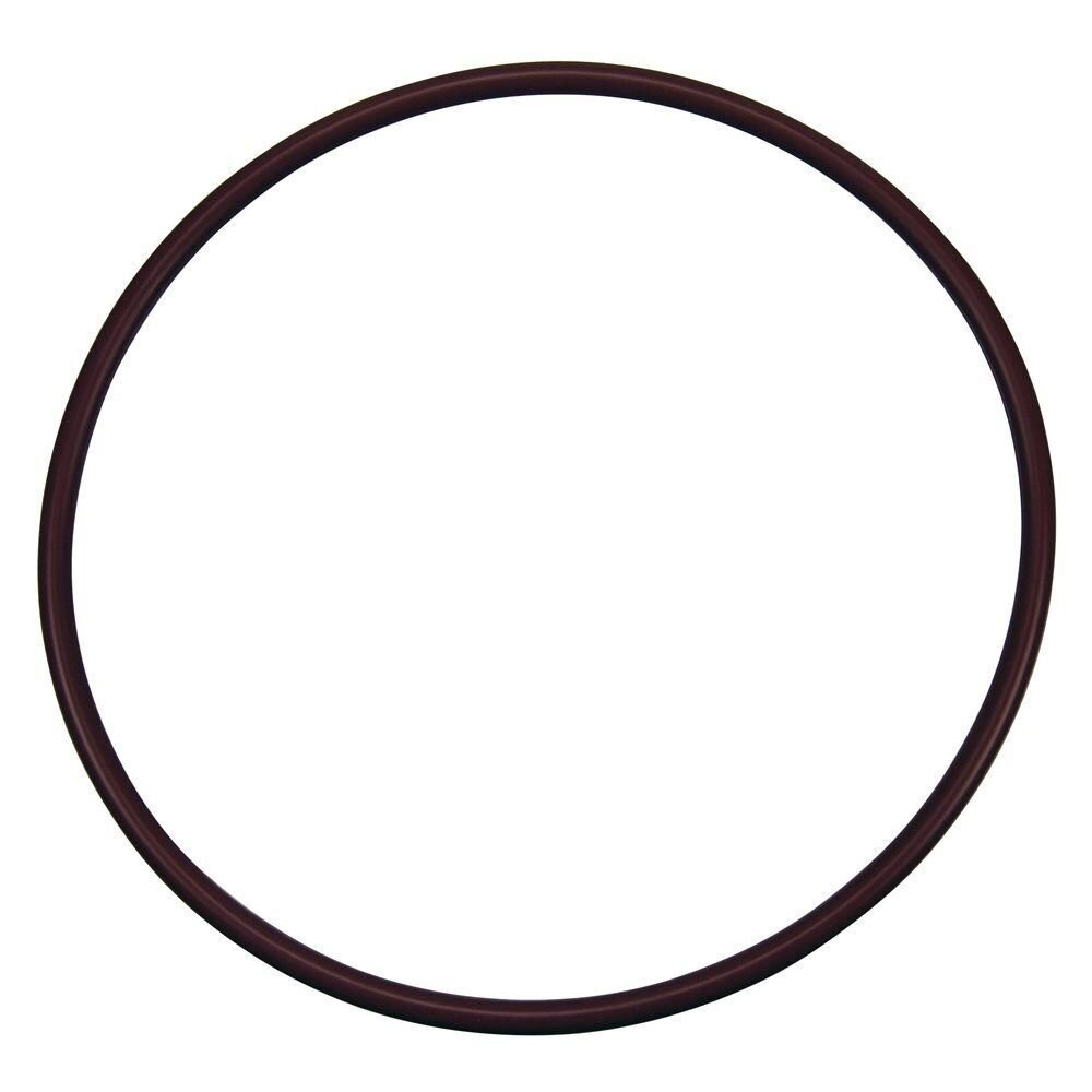 Pentair R172240 Lid to Housing O-Ring Replacement Rainbow High Capacity...