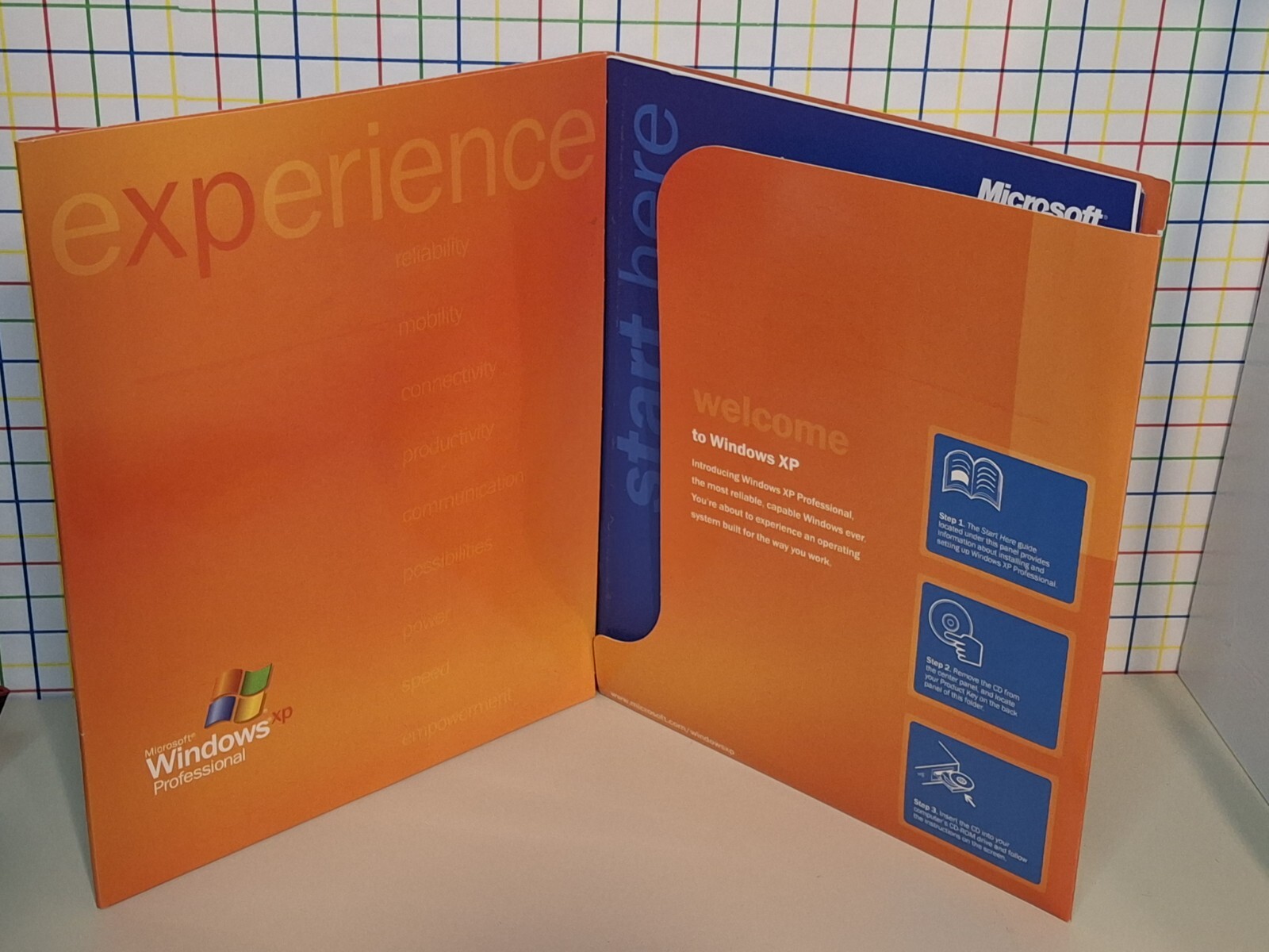 Windows XP Professional Includes Bonus Pocket Sized Windows XP For Dummies Book