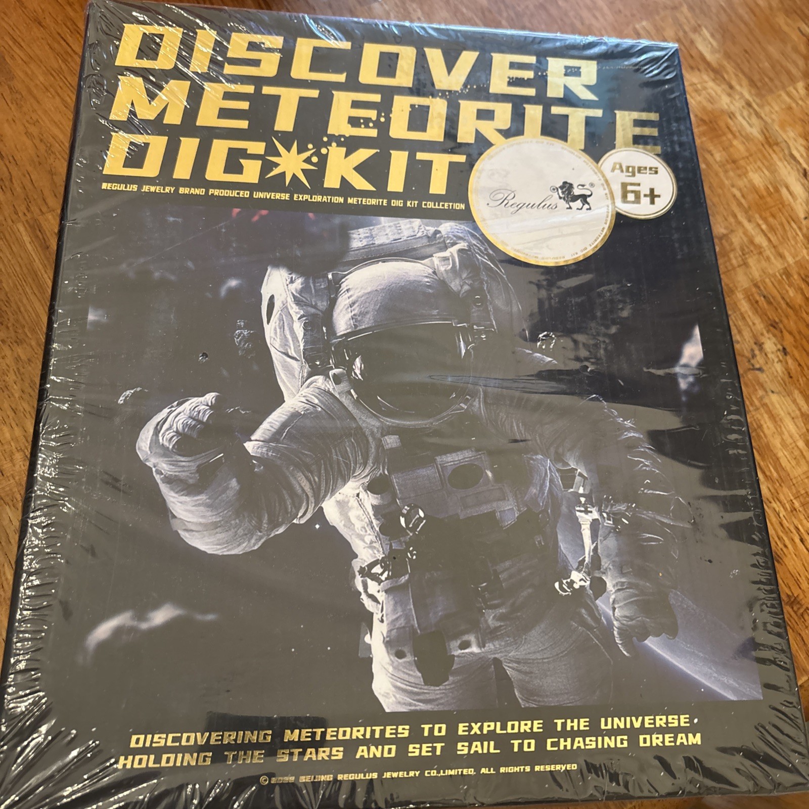 DISCOVER METEORITE Dig Kit - Science Kit with REAL Meteorite Material!