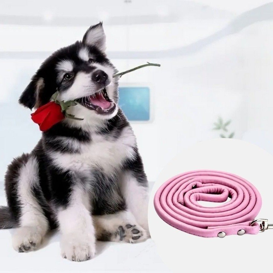 Xander Rey Pink Leather Dog Leash Gift Packaged