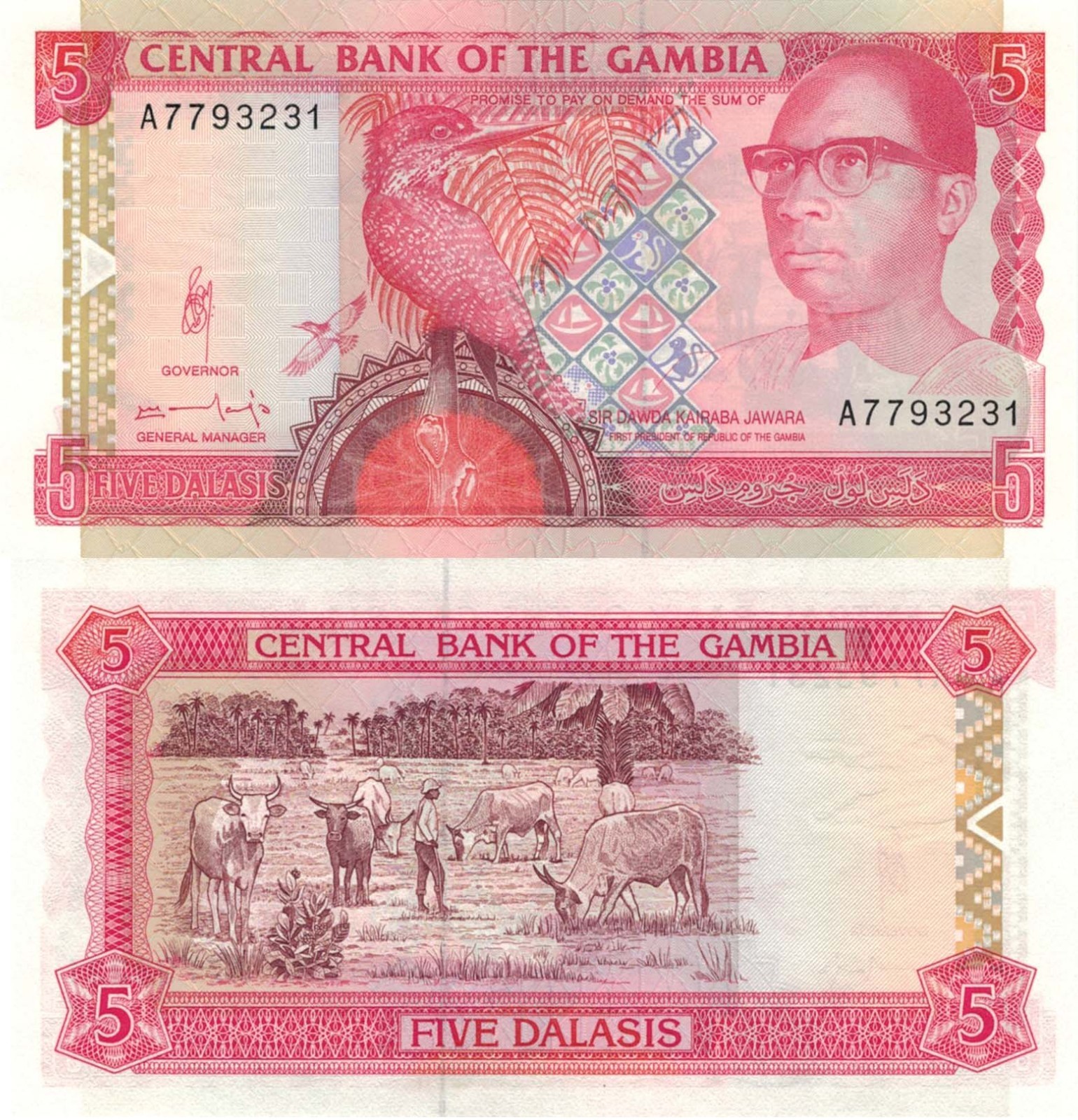Gambia 5 Dalasi (1991) - Jawara/Kingfisher/Cattle/p12b, B209b UNC
