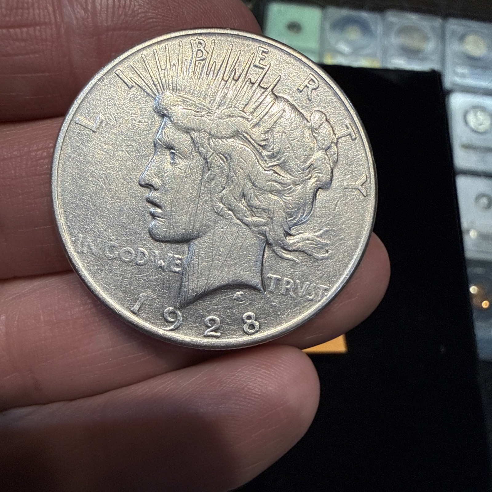 Lot Of 5 Peace Dollars
