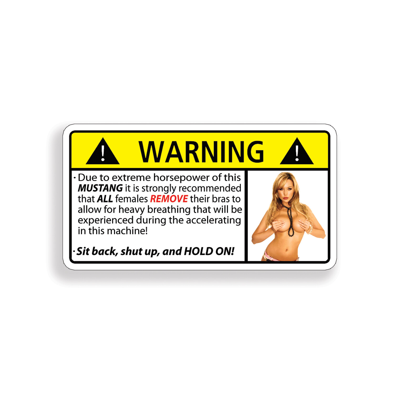 Funny MUSTANG No Bra Horsepower Sex Warning Sticker GT 5.0 Shelby Car Window