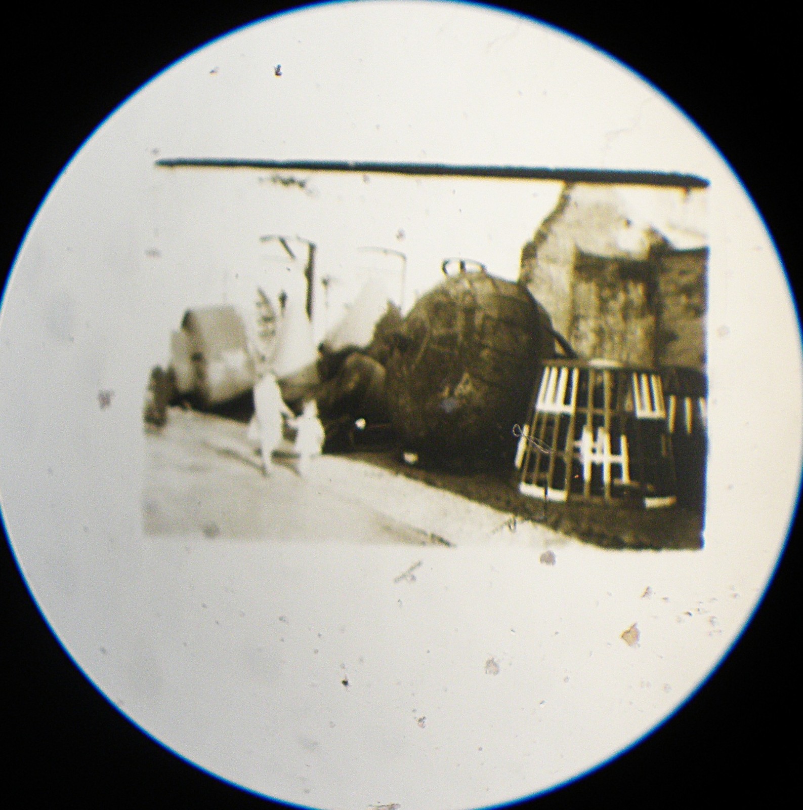 6 Vintage Microphotograph Slides. Please Read Labels for Descriptions.