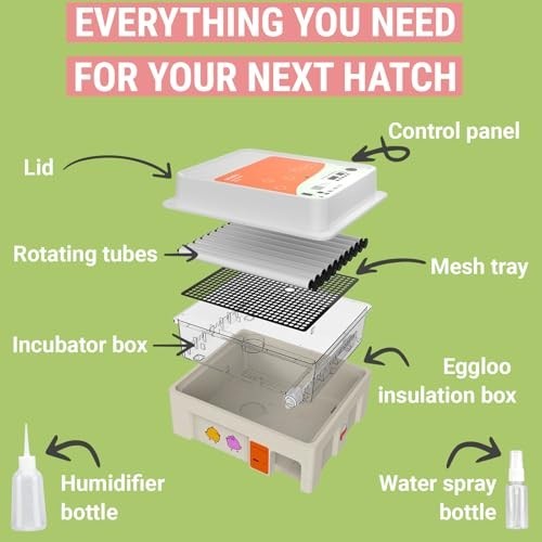 Egg Incubator for Hatching - 36 Eggs - Stable Temperature & Humidity Control wit
