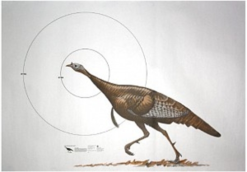 NRA Wild Turkey Life-Size Game Targets (HF 07990), 60" x 42", (folded)