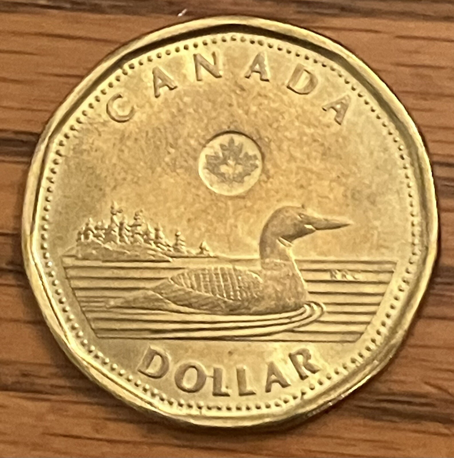 2015 Canada $1 one dollar loonie coin **75% off combined shipping**