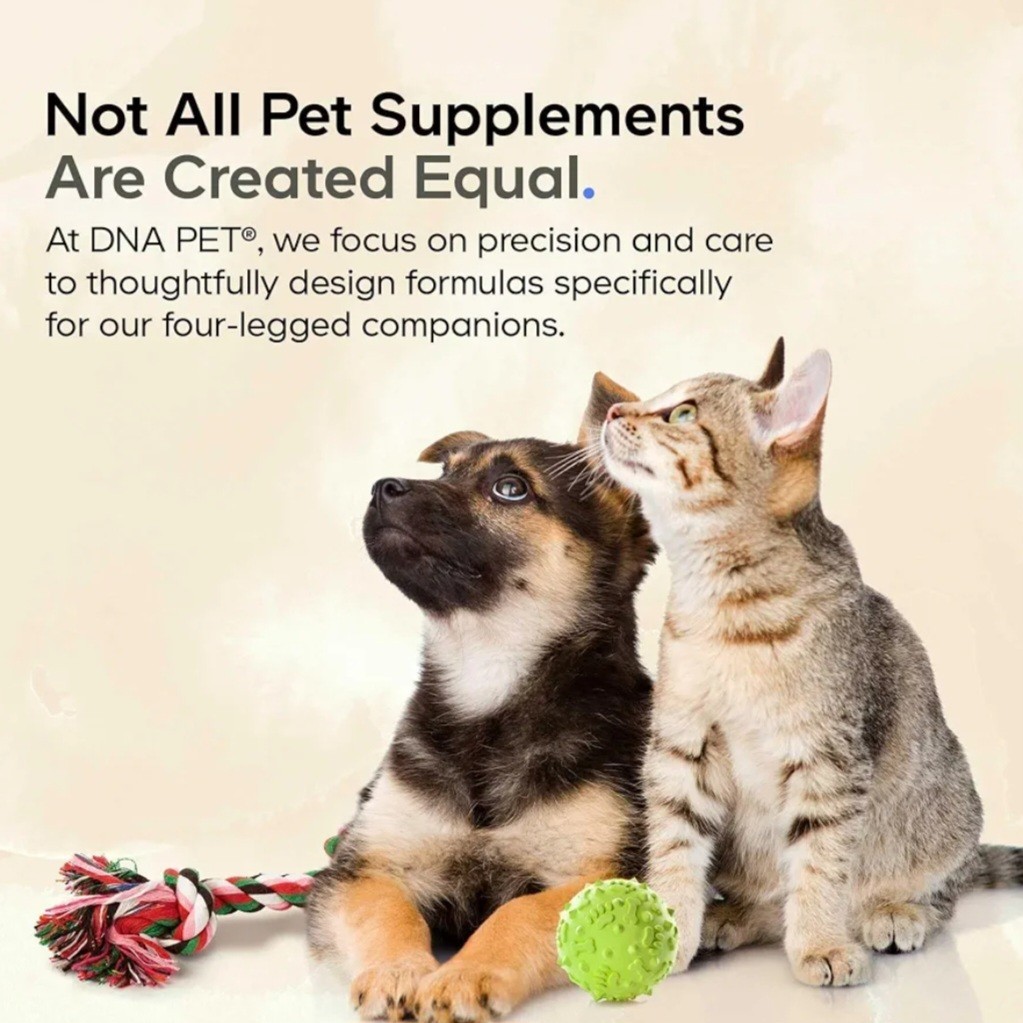 Codeage DNA Pet Beef Bone Broth Powder for Dogs Supplement Grass-Fed + Probiotic