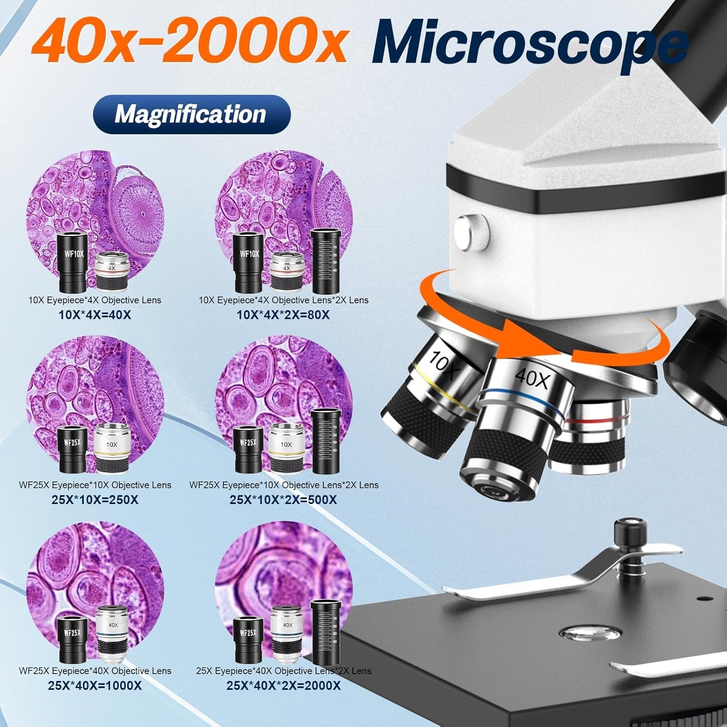 Microscopio para adultos, niños y estudiantes, microscopios 40X-2000X cuerpo.