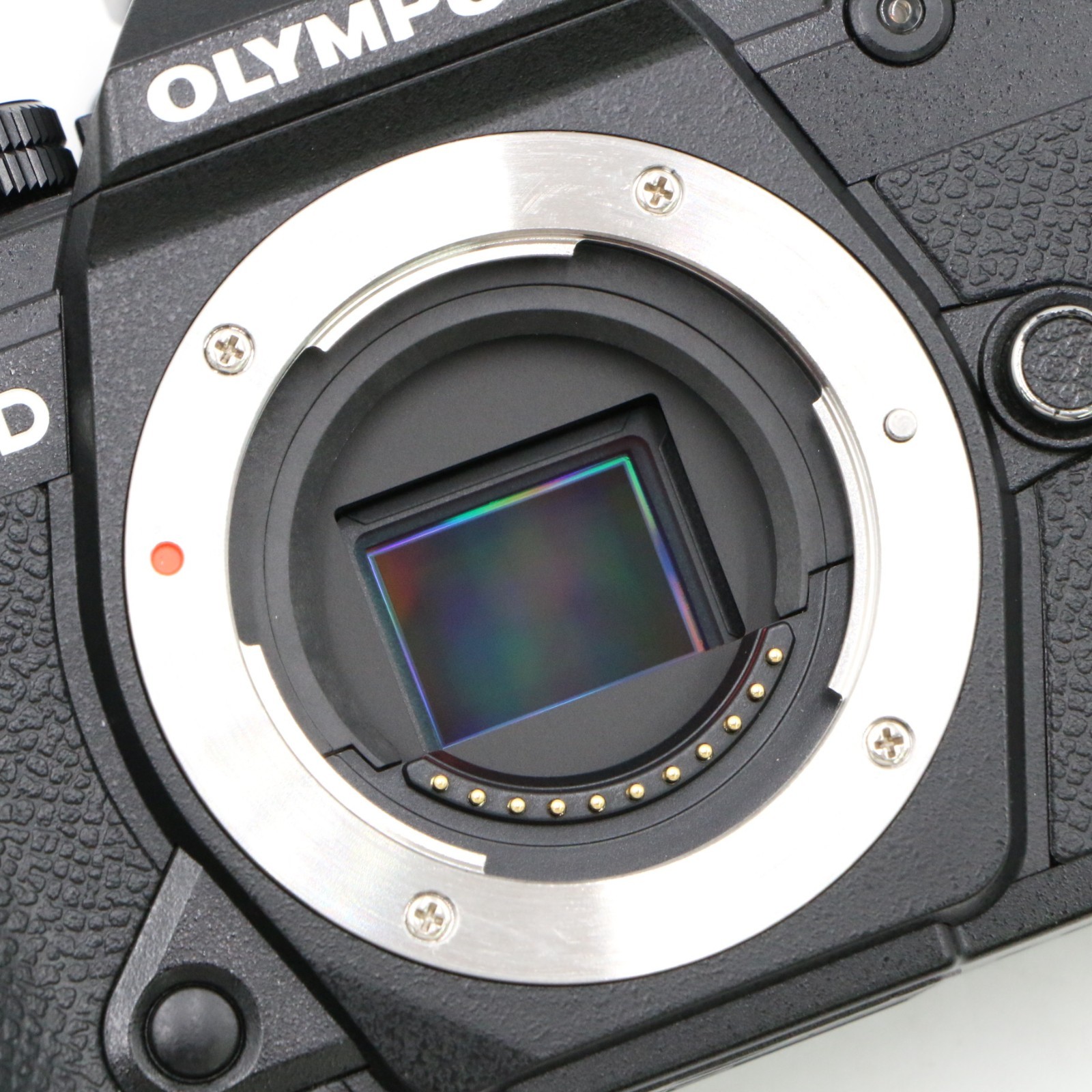 Olympus OM-D E-M5 Mark III Digital Camera Shutter Count 490 [Top Mint]