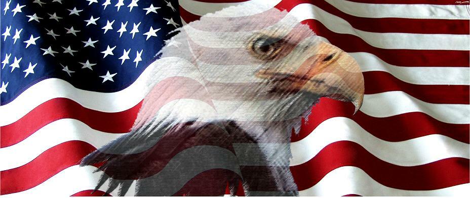 American Flag Eagle Adhesive Vinyl Wrap MATTE Laminated 12"x36"