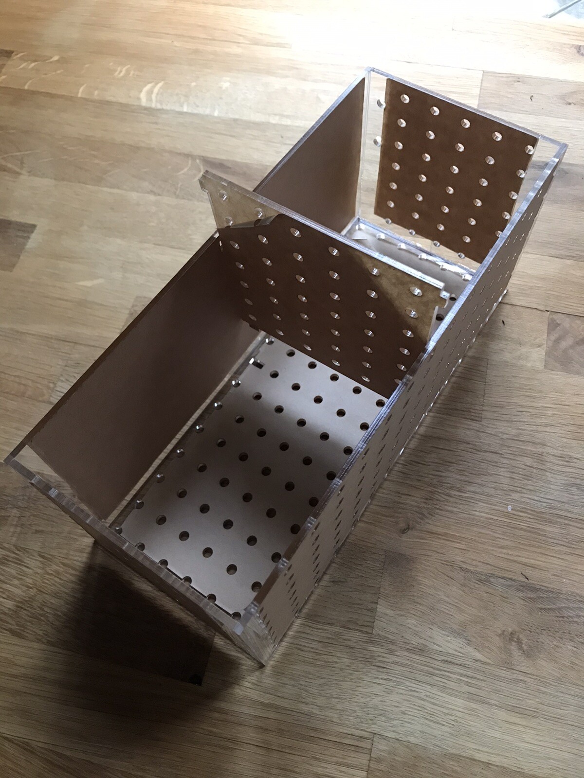 Mushroom Anemone Coral Frag Shroom Acclimation Breeder Box w Removable Divider
