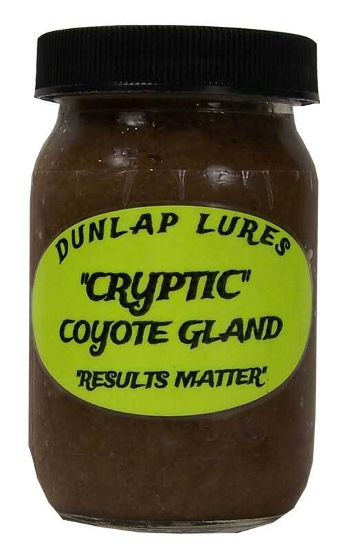 Dunlap's Cryptic Coyote Gland Lure
