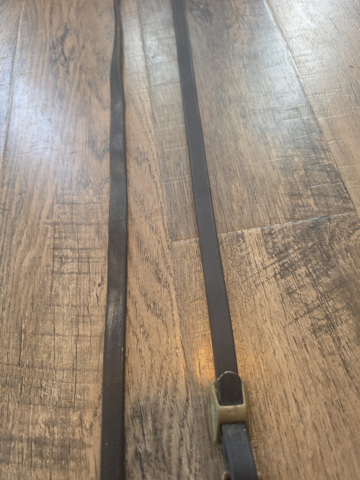 biothane reins