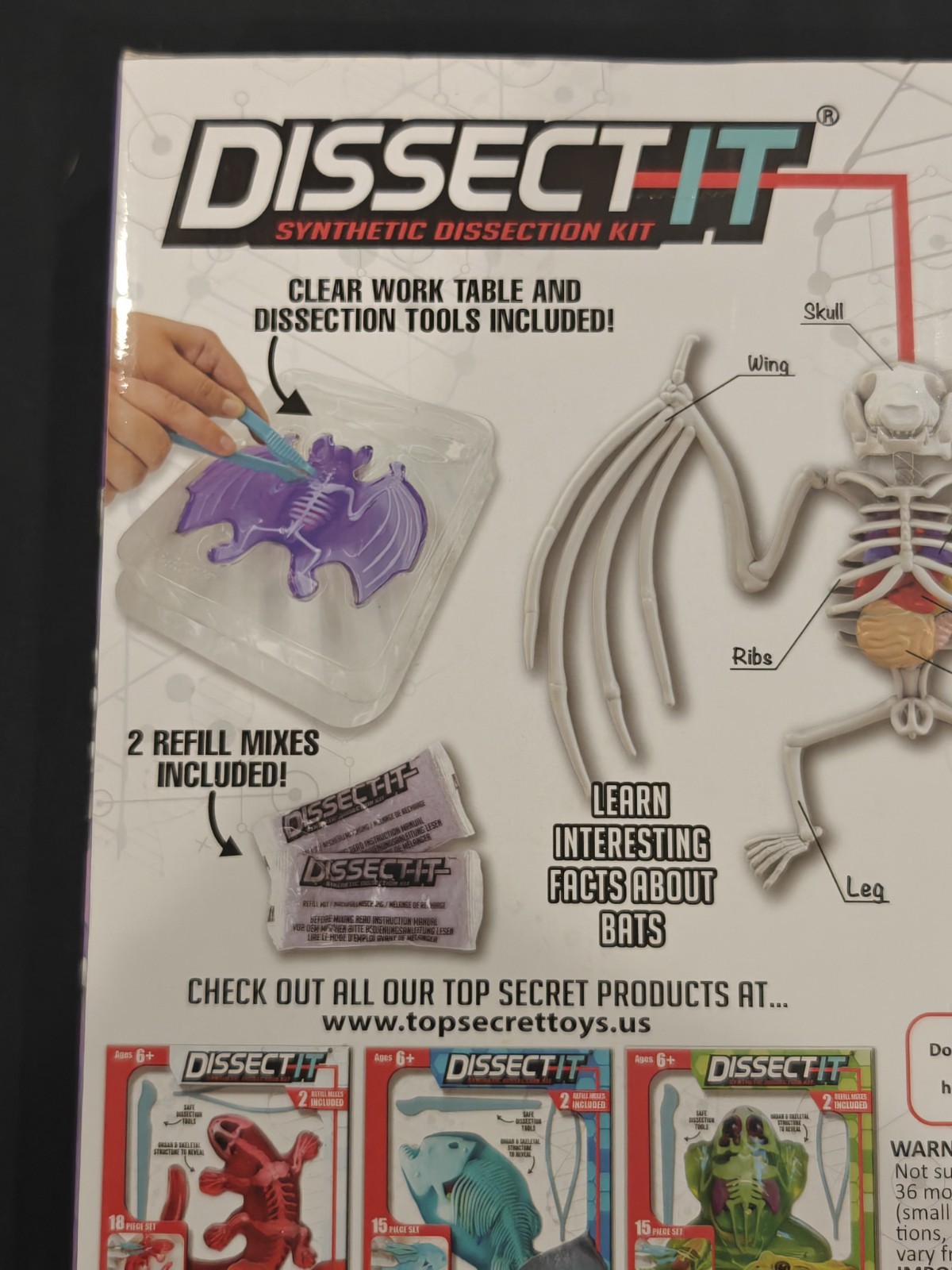 Dissect-It: Bat Lab Synthetic Dissection Kit, Kids Ages 6+