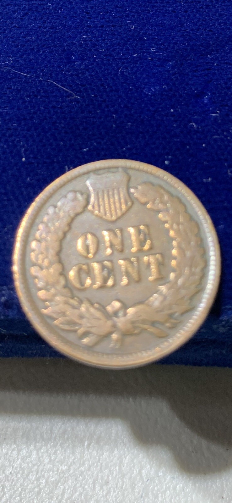 Coins. 1901 Indian head One Cent